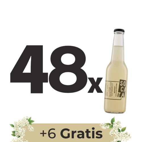 Socata x48 + 6 Gratis